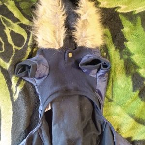Dog outfit with hood
